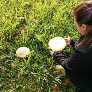 Meet your Posher, Bailey